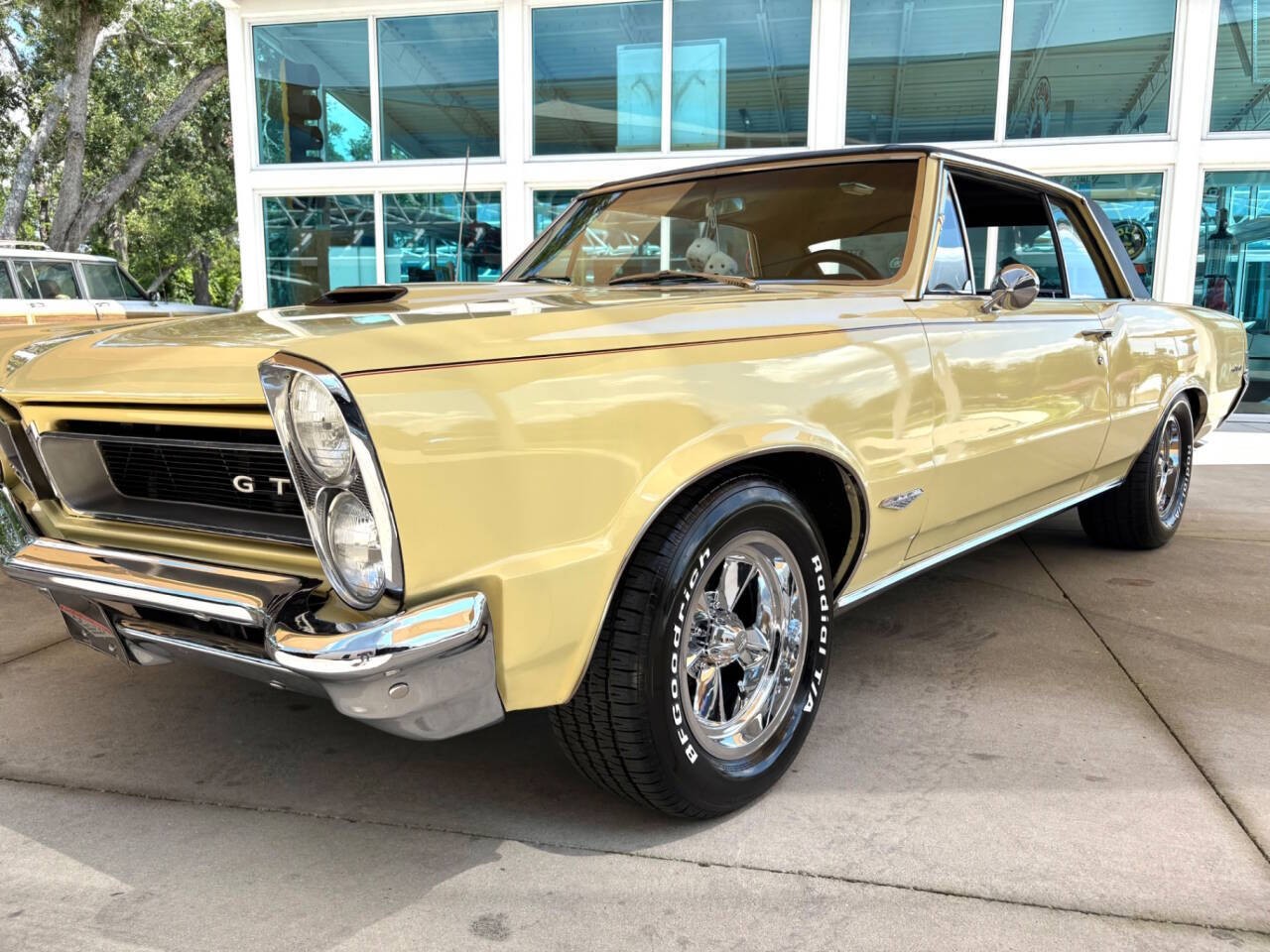 Pontiac-GTO-1965-Coupe-12