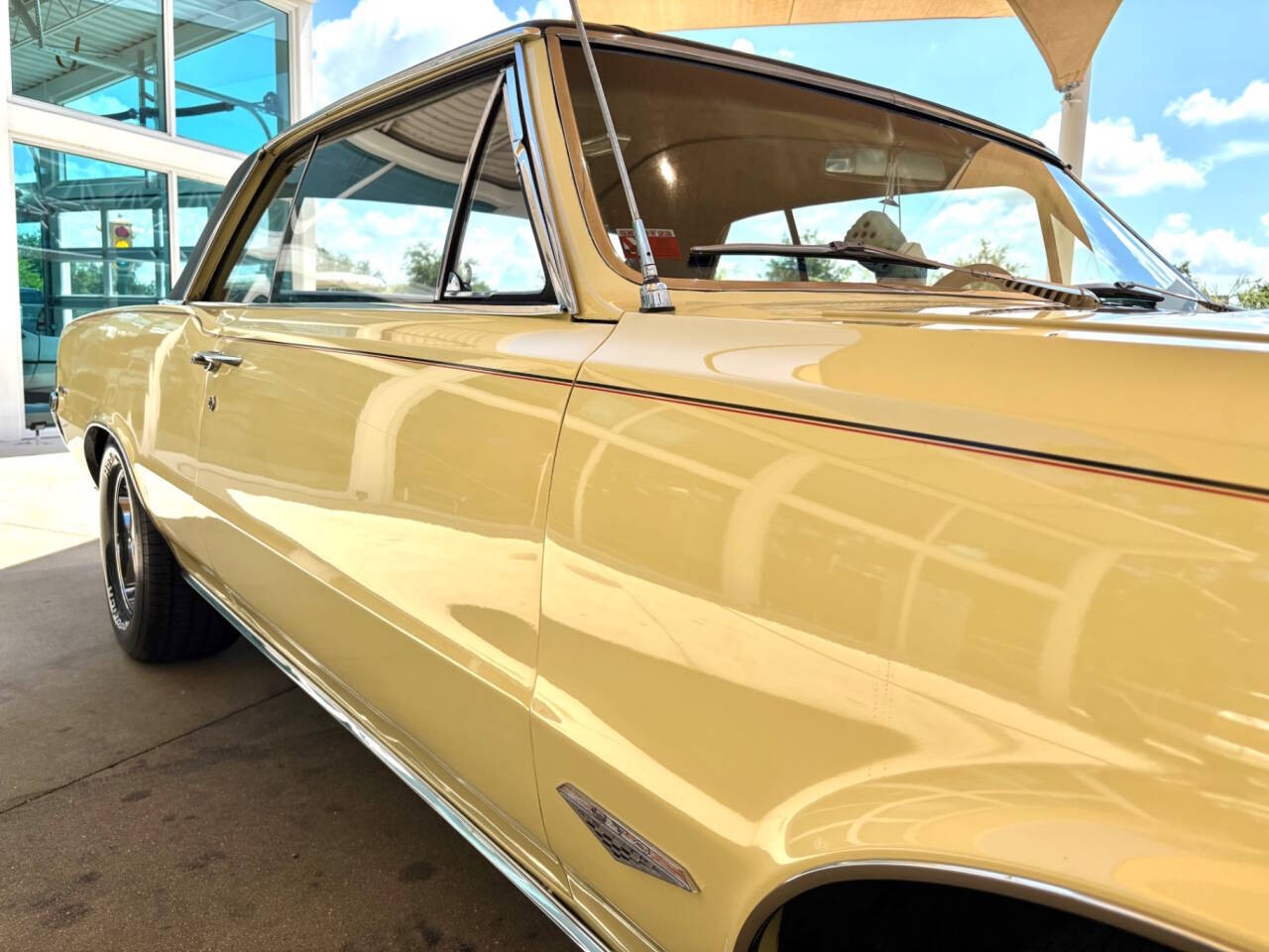 Pontiac-GTO-1965-Coupe-18