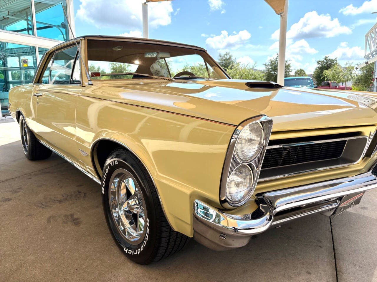 Pontiac-GTO-1965-Coupe-19