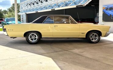Pontiac-GTO-1965-Coupe-3