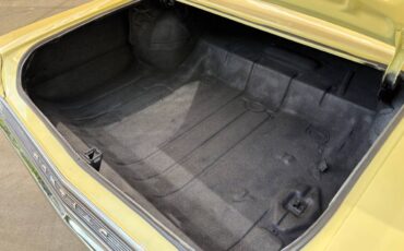 Pontiac-GTO-1965-Coupe-6
