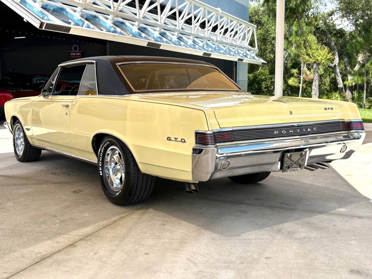 Pontiac-GTO-1965-Coupe-9