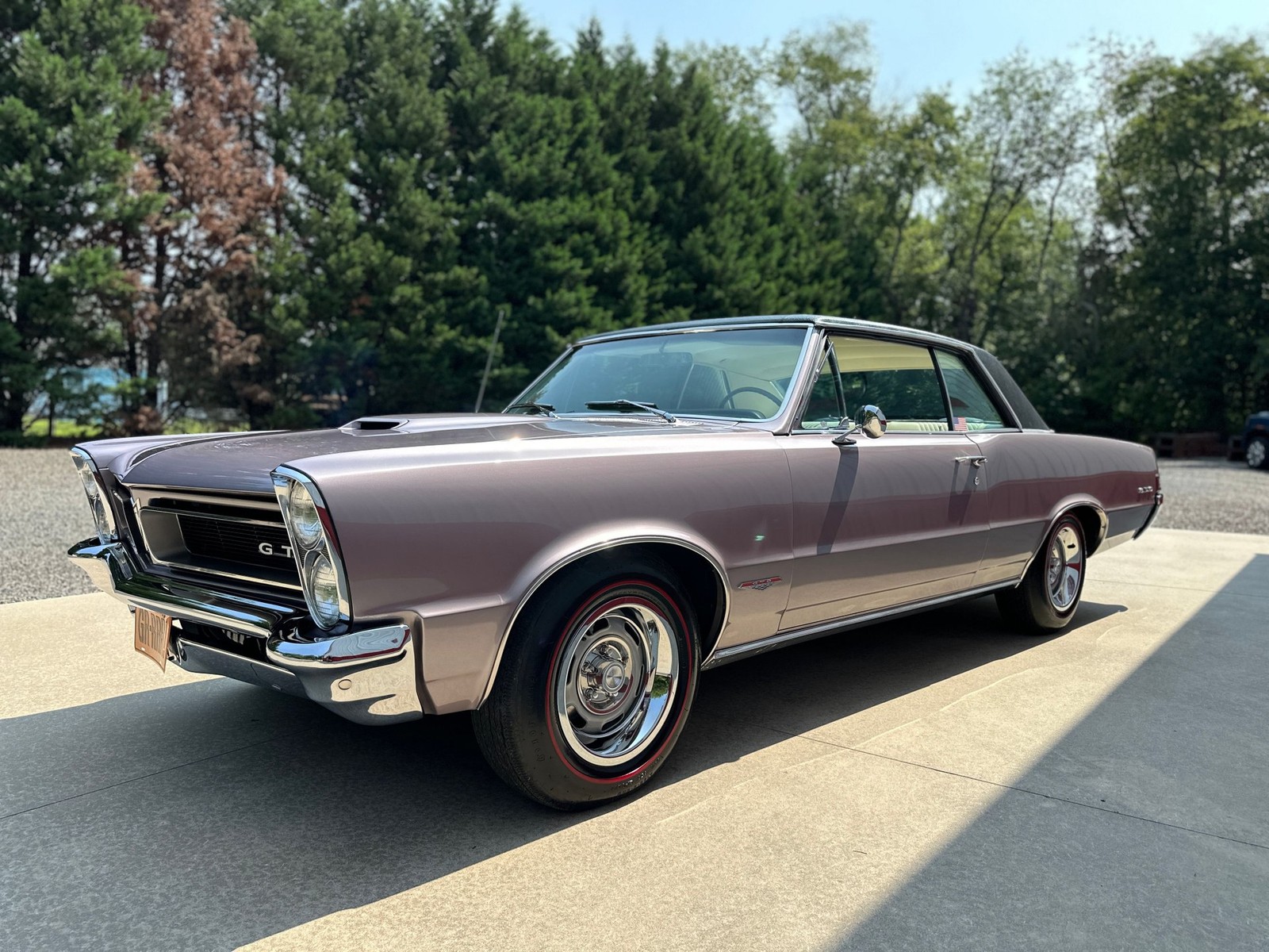 Pontiac-GTO-1965-Other-3