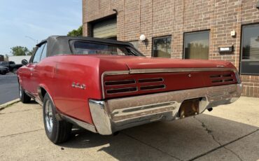Pontiac-GTO-1967-Convertible-4