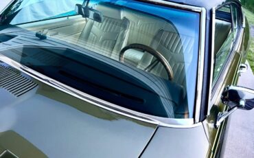 Pontiac-GTO-1969-Coupe-11