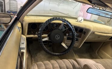Pontiac-Grand-Prix-1976-Coupe-16