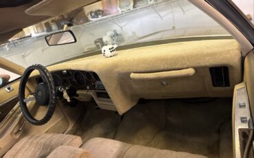 Pontiac-Grand-Prix-1976-Coupe-19