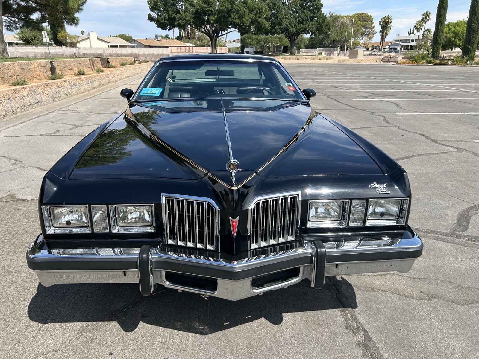 Pontiac-Grand-Prix-1977-7