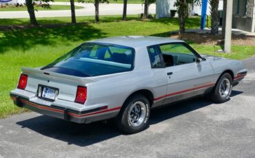 Pontiac-Grand-prix-1986-Silver-Gray-28