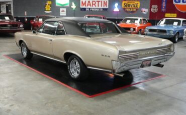 Pontiac-Gto-1966-Martinique-Bronze-Black-1