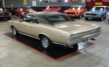 Pontiac-Gto-1966-Martinique-Bronze-Black-14