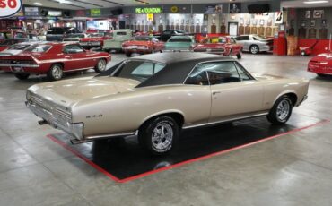 Pontiac-Gto-1966-Martinique-Bronze-Black-16