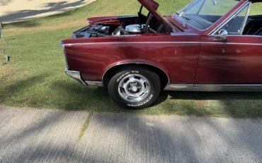 Pontiac-Gto-1967-Burgundy-Black-20