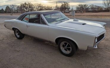 Pontiac-Gto-1967-Cameo-IvoryBlack-Vi-Black-1