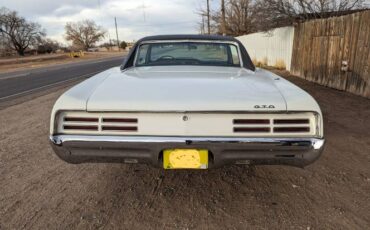 Pontiac-Gto-1967-Cameo-IvoryBlack-Vi-Black-5
