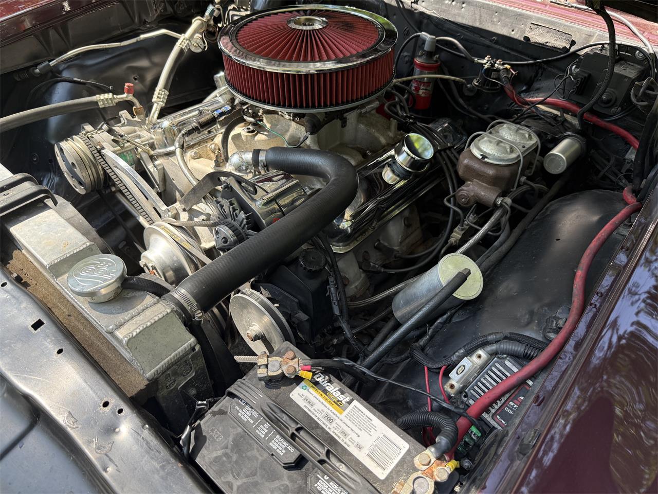 Pontiac-Gto-1967-Dark-cherry-Black-16