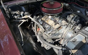 Pontiac-Gto-1967-Dark-cherry-Black-18