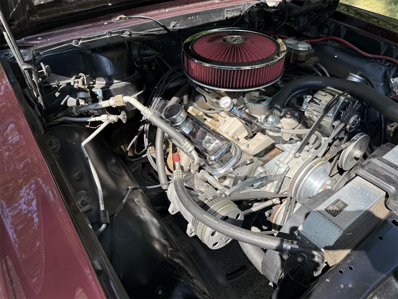 Pontiac-Gto-1967-Dark-cherry-Black-18