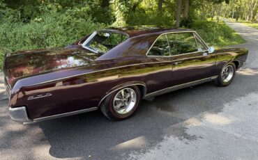 Pontiac-Gto-1967-Dark-cherry-Black-2