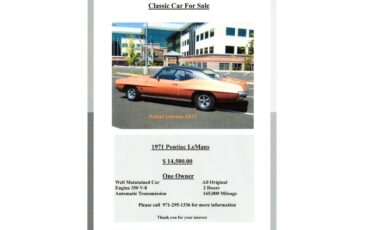 Pontiac-Lemans-1971-Dark-Orange-Black-8