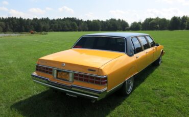 Pontiac-Parisienne-six-door-1986-Limousine-1