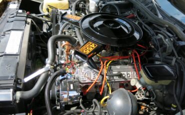 Pontiac-Parisienne-six-door-1986-Limousine-10