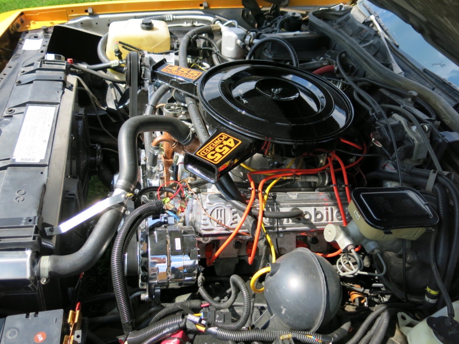 Pontiac-Parisienne-six-door-1986-Limousine-10
