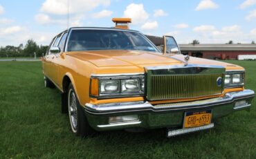 Pontiac-Parisienne-six-door-1986-Limousine-12