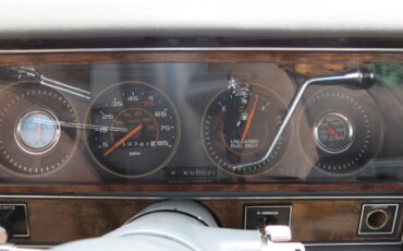 Pontiac-Parisienne-six-door-1986-Limousine-13