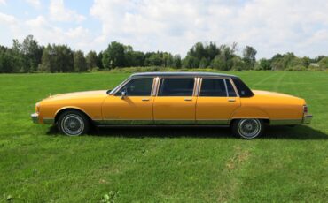 Pontiac-Parisienne-six-door-1986-Limousine-3
