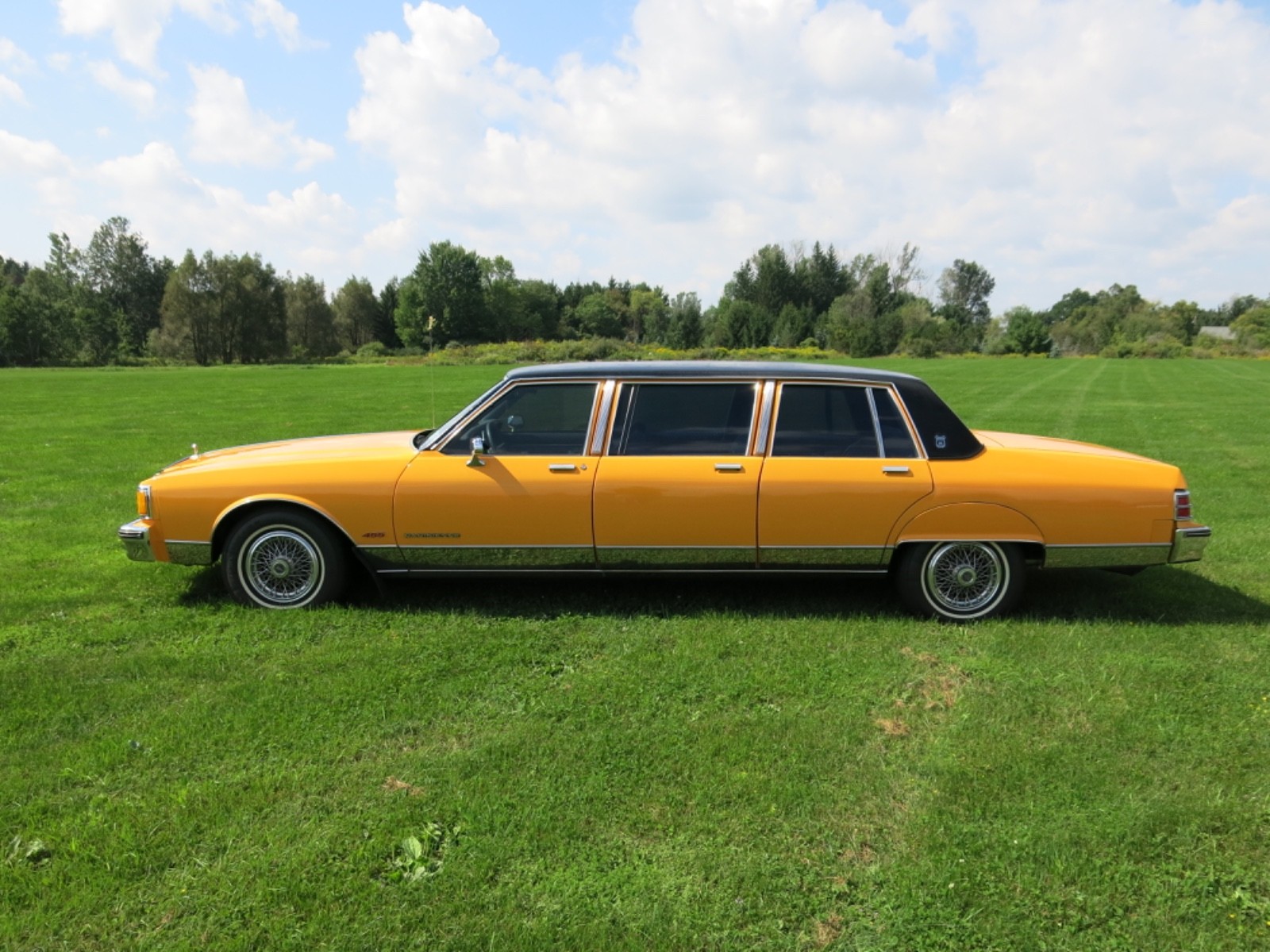 Pontiac-Parisienne-six-door-1986-Limousine-3