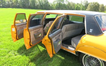 Pontiac-Parisienne-six-door-1986-Limousine-4