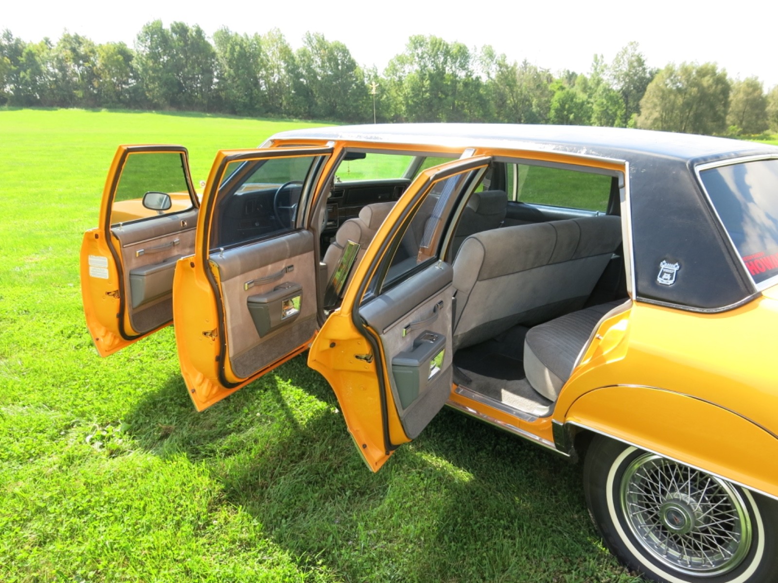 Pontiac-Parisienne-six-door-1986-Limousine-4