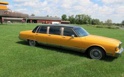 Pontiac Parisienne six door 1986 Limousine