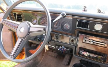 Pontiac-Parisienne-six-door-1986-Limousine-8