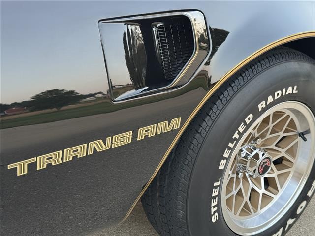 Pontiac-Trans-AM-WS6-1979-2-Door-Coupe-24