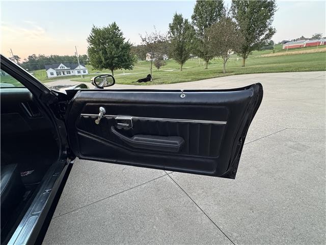 Pontiac-Trans-AM-WS6-1979-2-Door-Coupe-30