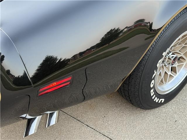 Pontiac-Trans-AM-WS6-1979-2-Door-Coupe-31