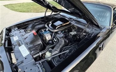 Pontiac-Trans-AM-WS6-1979-2-Door-Coupe-8