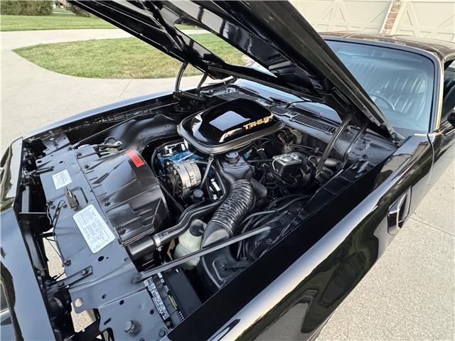 Pontiac-Trans-AM-WS6-1979-2-Door-Coupe-8