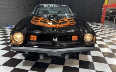 Pontiac-Trans-Am-1975-Coupe-14