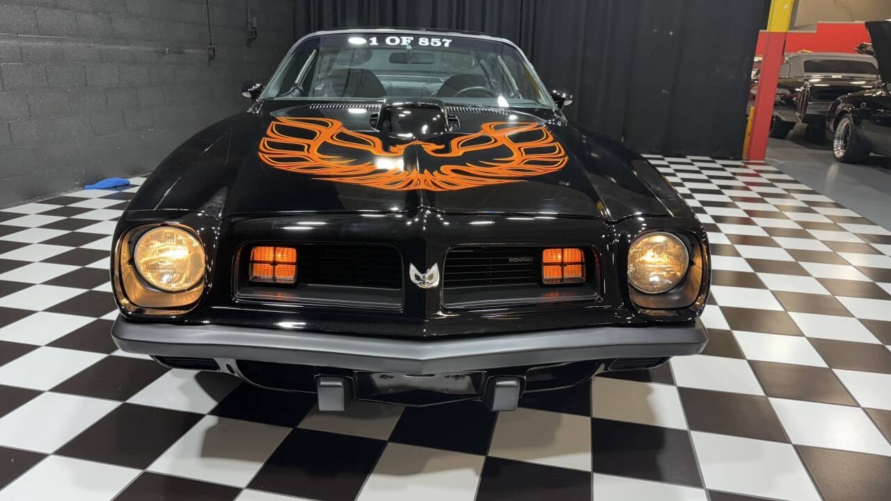 Pontiac-Trans-Am-1975-Coupe-14