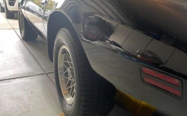 Pontiac-Trans-Am-1978-Coupe-19