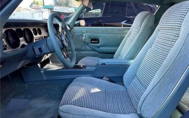 Pontiac-Trans-Am-1979-11