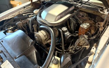 Pontiac-Trans-Am-1979-American-Muscle-Car-10