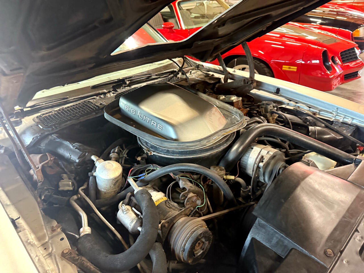 Pontiac-Trans-Am-1979-American-Muscle-Car-11