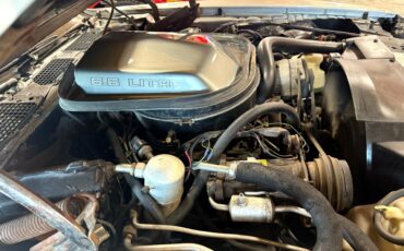 Pontiac-Trans-Am-1979-American-Muscle-Car-13
