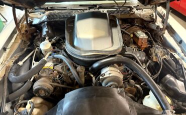 Pontiac-Trans-Am-1979-American-Muscle-Car-9