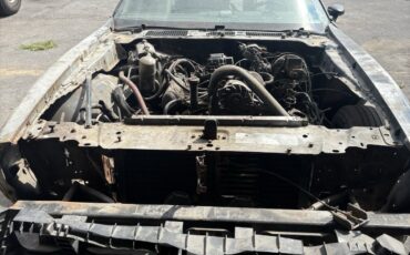 Pontiac-Trans-Am-1979-Coupe-1