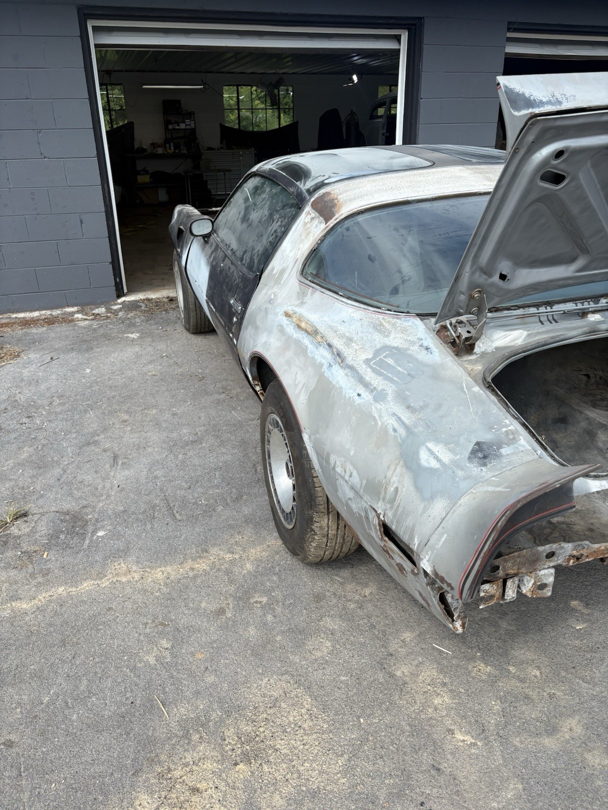 Pontiac-Trans-Am-1979-Coupe-24